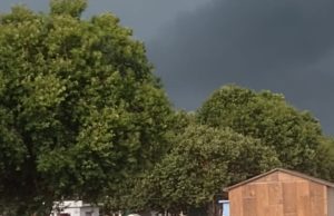 Câmara aprova indicações do vereador Bruno Patriota para iluminação do Cemitério e proteção da frota da UPA em Colíder