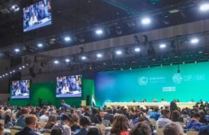 Oportunidade para artistas na COP 30: começa seleção online da Disruptivos Digitais