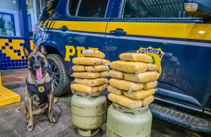 Droga escondida em botijões de gás é apreendida pela PRF durante fiscalização em ônibus