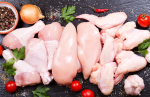 União Europeia reabre mercado para carne de frango e de peru do Brasil; decisão ocorre no mesmo dia do início da auditoria chinesa sobre influenza aviária