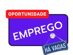 Sine disponibiliza mais de 2,6 mil oportunidades de emprego em Mato Grosso nesta semana; confira vagas em Colider