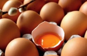 Posso consumir ovos todos os dias? Mitos e Verdades Sobre Ovos Que Você Precisa Saber