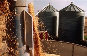 Aprosoja MT cobra soluções: sem crédito e armazéns, produção recorde pode virar prejuízo