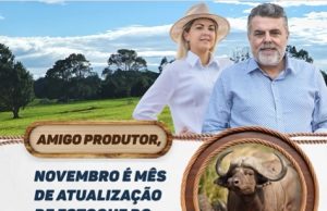 Produtores devem atualizar estoques de rebanhos no INDEA-MT a partir de 1º de novembro