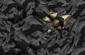 Goiás é sede da primeira fábrica de terras raras para ímãs no Brasil