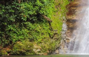 Jovem de 20 anos sofre acidente em cachoeira e pode ficar tetraplégico