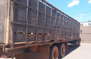 Frustrada tentativa de roubo de gado com a prisão em flagrante de três envolvidos