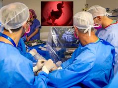 Coração de feto é operado dentro da barriga da mãe