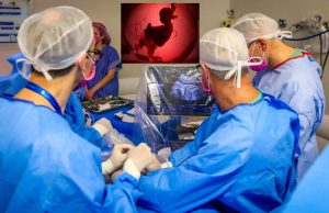 Coração de feto é operado dentro da barriga da mãe