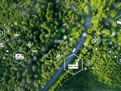 Como o Brasil poderia liderar economia verde, segundo estudo apresentado na COP30