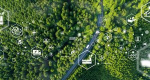 Como o Brasil poderia liderar economia verde, segundo estudo apresentado na COP30