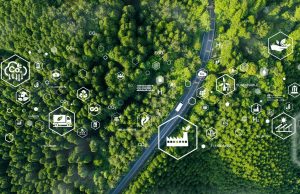 Como o Brasil poderia liderar economia verde, segundo estudo apresentado na COP30