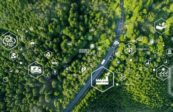 Como o Brasil poderia liderar economia verde, segundo estudo apresentado na COP30