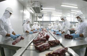 Mato Grosso registra maior exportação de carne bovina de sua história