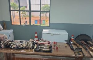 DENUNCIA ANÔNIMA: homem é preso e espingardas e 40 quilos de carnes de caça e pescado ilegal são apreendidos neste fim de semana