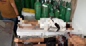 Operação da PM no Pará: Três mortos e apreensão de drogas e armas em ação realizada na tarde de ontem(05)