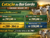 Últimas Cotações do Boi Gordo em Colíder (MT) e Região