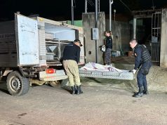 CONFIANÇA QUE MATA: idosa morre ao ser atacada pelo próprio cachorro