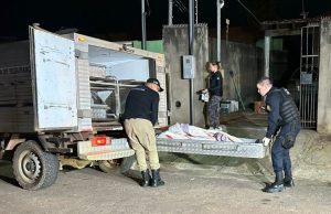 CONFIANÇA QUE MATA: idosa morre ao ser atacada pelo próprio cachorro.VÍDEO