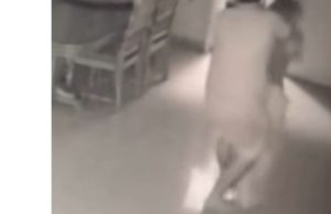 Jovem denuncia ex-namorado por agressões físicas e estupro; Empresário é preso; Vídeo