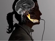 ELETROCHOQUE NA LÍNGUA: dispositivo acelera reabilitação de pacientes com AVC