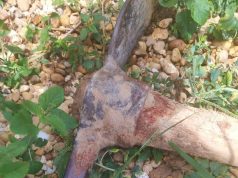 CRIME BRUTAL NO NORTÃO DE MT: preso suspeito de matar homem a golpes de picareta