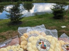 Esposa do deputado Gilberto Cattani é alvo de golpe e tem prejuízo de R$ 10 mil