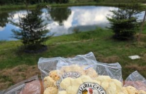 Esposa do deputado Gilberto Cattani é alvo de golpe e tem prejuízo de R$ 10 mil