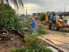 MEIO AMBIENTE EM EVIDÊNCIA: força-tarefa é mobilizada para restabelecer normalidade após temporal atingir Colíder