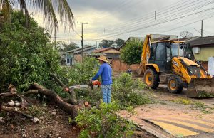 MEIO AMBIENTE EM EVIDÊNCIA: força-tarefa é mobilizada para restabelecer normalidade após temporal atingir Colíder