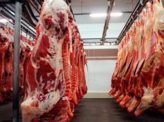 Ranking nacional traz 12 municípios de MT no top 100 das exportações