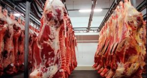 Ranking nacional traz 12 municípios de MT no top 100 das exportações