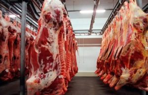 Ranking nacional traz 12 municípios de MT no top 100 das exportações