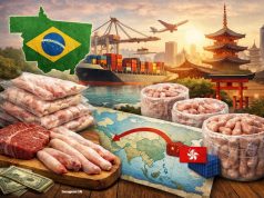 Pênis bovino de MT conquista espaço no mercado internacional