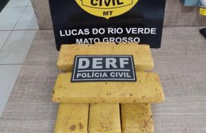 Maconha enterrada debaixo de pé de manga é apreendida pela PC na tarde de ontem(05) no Norte de MT