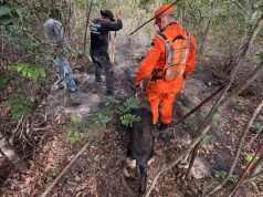 Cão de busca do Corpo de Bombeiros localiza corpo de vítima desaparecida