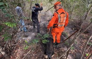 Cão de busca do Corpo de Bombeiros localiza corpo de vítima desaparecida