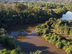 Contaminação por metais na bacia do Rio Paranaíta Nortão/MT é alvo de investigação do Ministério Público