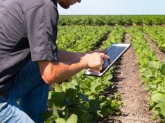 Dados impulsionam a liderança do agro brasileiro