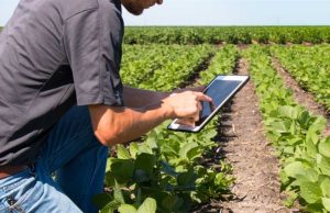 Dados impulsionam a liderança do agro brasileiro