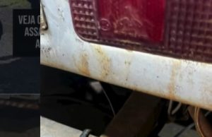 VÍDEO. Crime brutal: cachorra prenha amarrada e arrastada em traseira de caminhonete morre com seus 10 filhotes