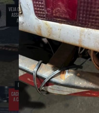 cadela amarrada traseira