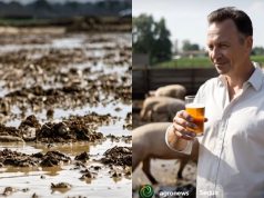 Cerveja feita com dejetos suínos é a novidade em 2026, você tomaria? VÍDEO