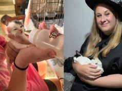 Quer morar de graça na Grécia? Saiba como