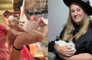 Quer morar de graça na Grécia? Saiba como