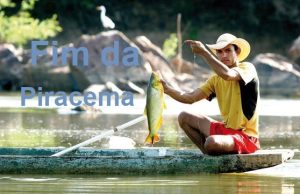 Fim da piracema libera pesca em MT; confira éspécies que continuam proibidas para pesca e transporte