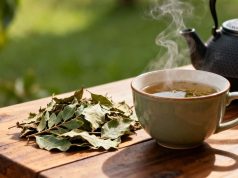 Anvisa reconhece erva tradicional como tratamento natural eficaz para problemas gástricos