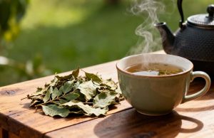 Anvisa reconhece erva tradicional como tratamento natural eficaz para problemas gástricos