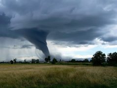 Tornado atinge 180 km/h em São José dos Pinhais