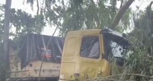 NORTÃO MT: carreta invade cemitério e destrói túmulos. VÍDEO